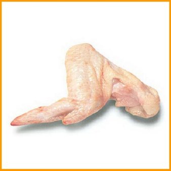 Индейка - капризная птица