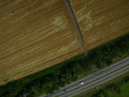 Озимые зерновые в Украине находятся в хорошем и удовлетворительном состоянии на 85% посевных площадей