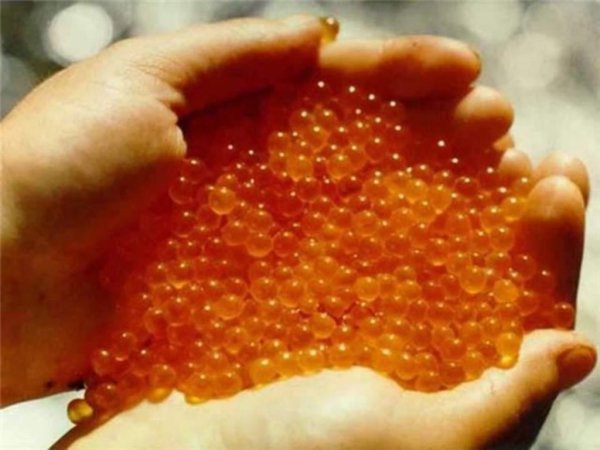 Житель Приморья охотился на сахалинскую рыбу с багром