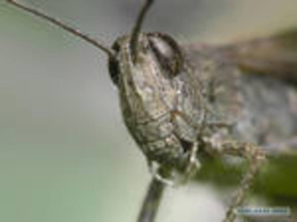 В Башкирии объявлен режим чрезвычайной ситуации