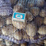 Картофель Гала Белый Опт