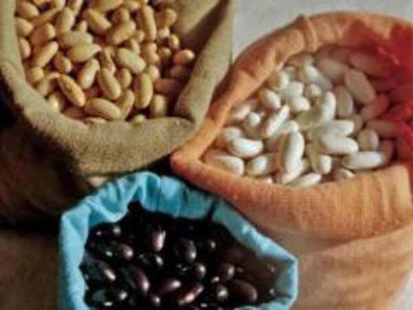 О качестве ввозимых семян