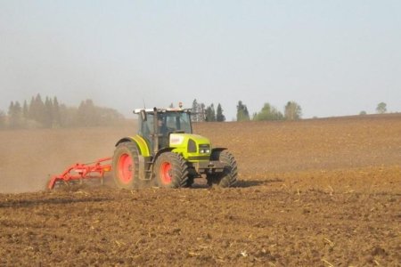 Ход ярового сева: на 31 мая зерновыми засеяно 93% площадей