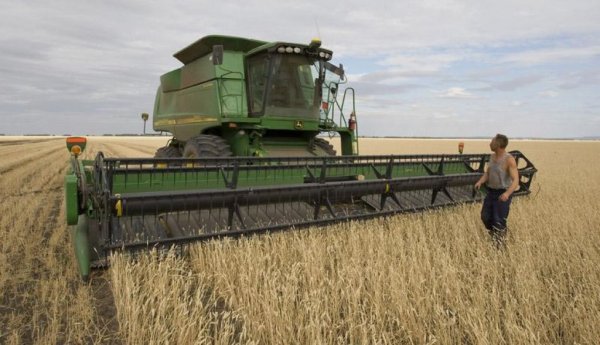 Агрополитика или агроиллюзии?