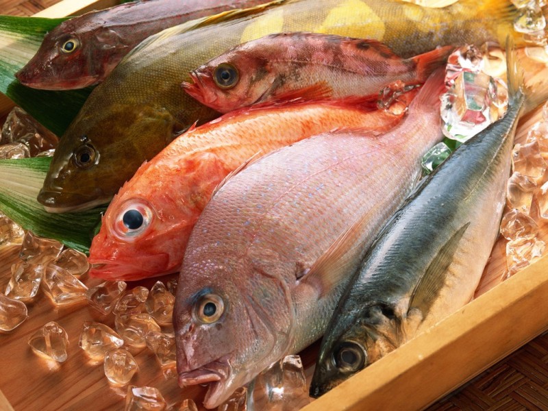Рыбные цены в Северодонецке