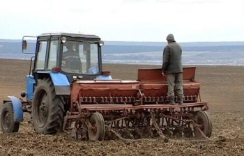 Краткий обзор зернового рынка