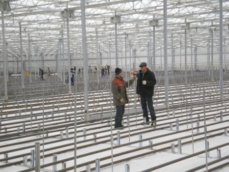 «АркоЮг» выходит на гидропонику