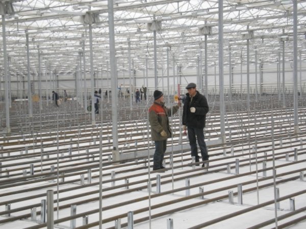 «АркоЮг» выходит на гидропонику