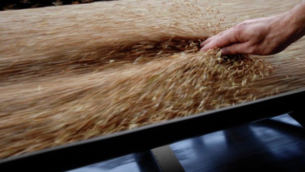 Пакистан может не успеть экспортировать 3 млн.тонн пшеницы в этом сезоне