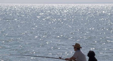 Российские рыбаки с начала года выловили на 30,3% биоресурсов больше, чем годом ранее