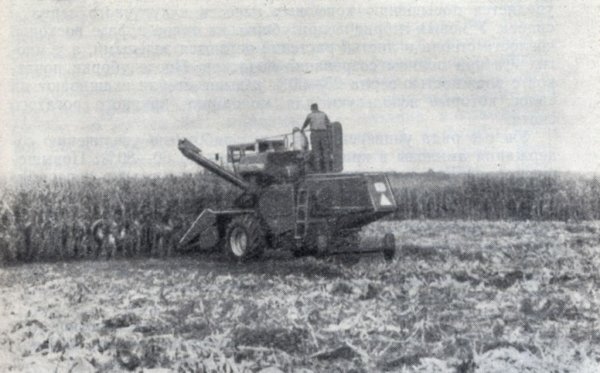 На западе Тибетского автономного района сделаны запасы