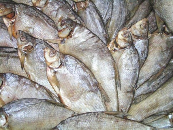 Казахстан: рыбные цены Шымкента