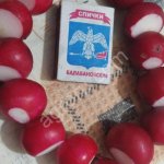 Редис Оптом