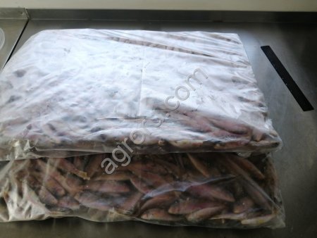 Барабуля (Барабулька)