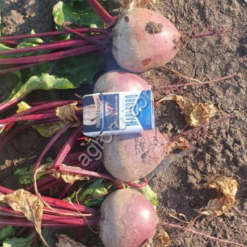 Почем овощи