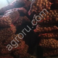 Семенной картофель