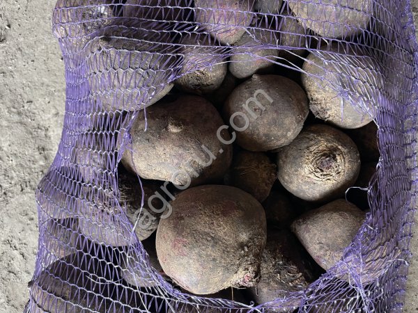 Борщевой набор