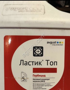 Ластик Топ