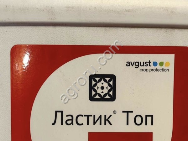 Ластик Топ