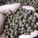 Корма для форели, осетра, карповых видов рыб