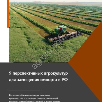 9 перспективных агрокультур для замещения импорта в РФ