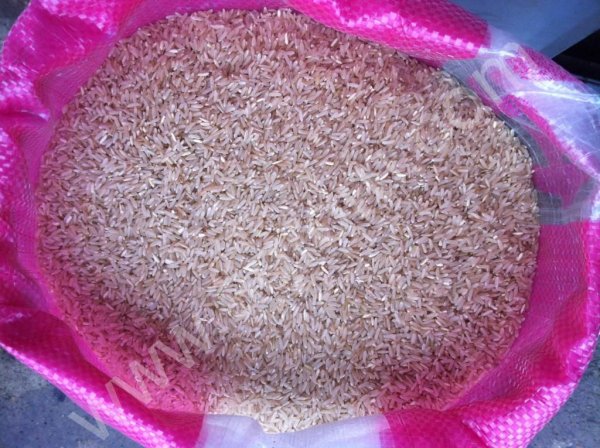 Рис нешлифованный красный (бурый, коричневый), шелушеный, неочищенный