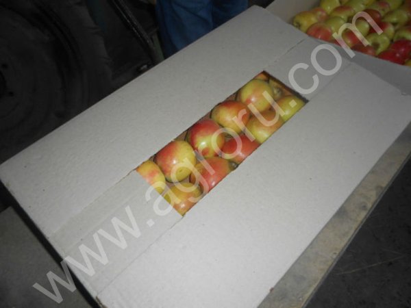 Яблоки оптом