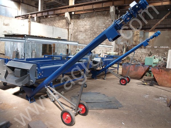 Сортировка овощей, фруктов