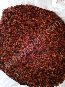 Красной рябины плоды