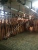 Аренда мясоперерабатывающего предприятия