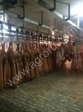 Аренда мясоперерабатывающего предприятия