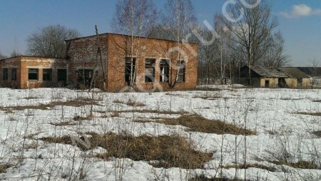 Действующее фермерское хозяйство, колхоз