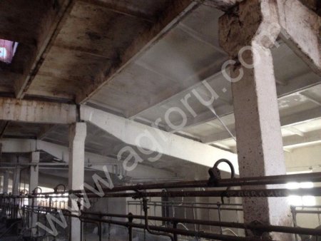 Побелка Дезинфекция