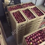 Яблоки от производителя