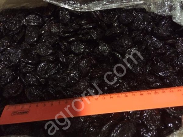 Чернослив Венгерка