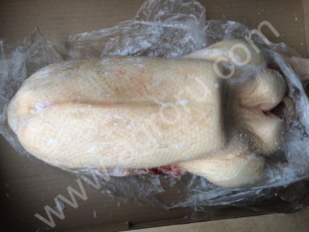 Гуси, утки, индейка, яйцо