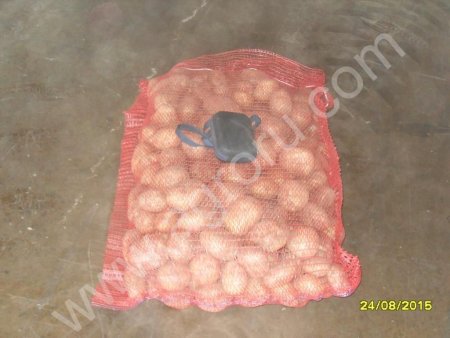 Картофель от производителя.