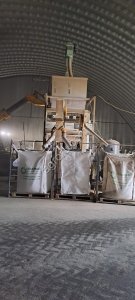 Подработка и очистка зенрна и семян подсолнечника, горчицы, льна и тд