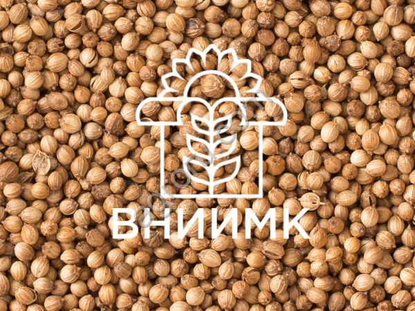 Семена кориандра ВНИИМК гибрид Алекссевский 413