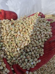 нут, Зеленая гречка,Жареная гречка