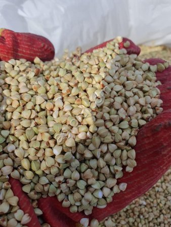 нут, Зеленая гречка,Жареная гречка