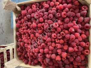 Замароженный малина Экстра