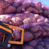 Картофель красный и белый