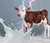 Усилитель цельного молока сухой «БУСТЕРКАП НЕО»