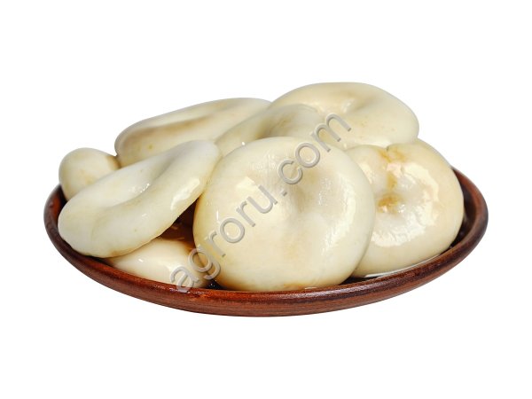 грузди соленые боровые и тополевые