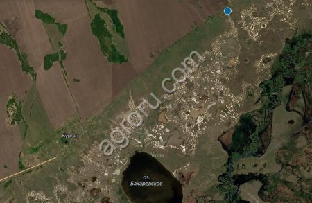 Сельхоз земли в Алтайском крае в аренду