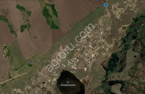 Сельхоз земли в Алтайском крае в аренду