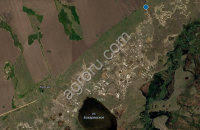 Сельхоз земли в Алтайском крае в аренду