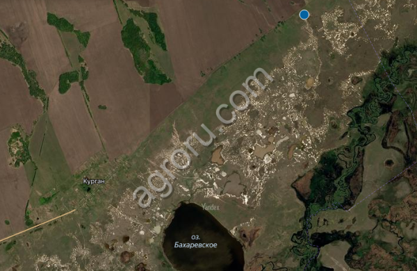 Сельхоз земли в Алтайском крае в аренду