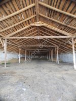 Животноводческая ферма (действующая)